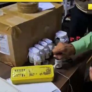 Coldrif Cough Syrup Case: ED raids 7 Chennai locations linked to Sresan Pharma