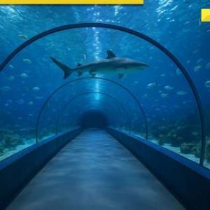 India set to unveil its first longest underwater tunnel, located in…, to reduce travel time from 6 to 1.5 ho