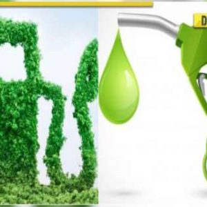 Ethanol and Petrol: Mix that’s reshaping India’s energy future