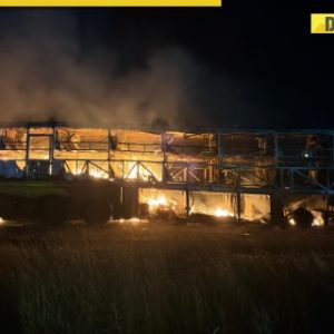 Kurnool tragedy: Bus driver arrested after horrific accident that killed 20