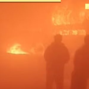 Delhi-Agra Expressway accident: 4 dead and several injured in massive vehicle collision due to dense