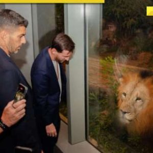 Lion cub named ‘Lionel,’ football with elephant calf: What all happened during Messi’s visit to Anant Ambani’s Vantara?