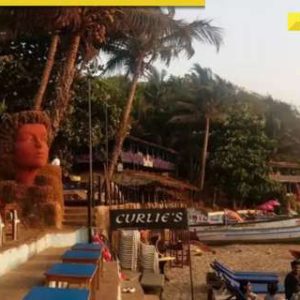 After Birch, Curlie’s, another popular Goa nightclub, sealed due to…, was earlier linked to high-profile death case, check details