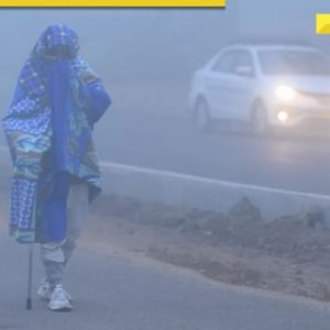 IMD weather update: Cold wave grips North India, dense fog to continue for another week
