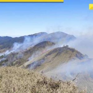 Fire in Nagalad’s Dzukou Valley continues to spread, Manipur’s tallest peak at risk, authorities on high alert