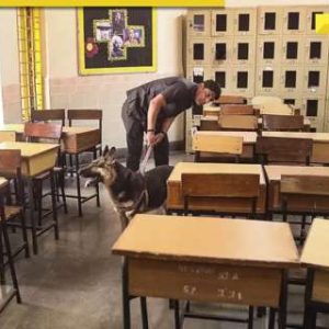 Gurugram: Bomb threats sent to over a dozen schools, students evacuated immediately, investigation underway