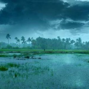 Monsoon moves: Heavy rains in south, gusty winds and thunderstorm in north likely on Saturday