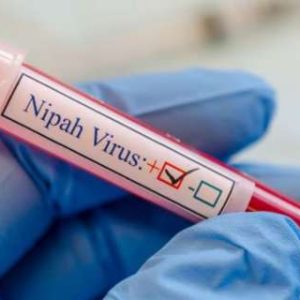 Kerala reports fresh Nipah case, implements contamination protocol