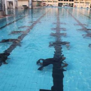 International Day of Yoga 2026: 40 Indian Navy submariners perform yoga underwater; WATCH video
