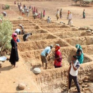 MGNREGA ends, VB-G RAM G begins: Daily wages up 10% to Rs 327.4 from July 1