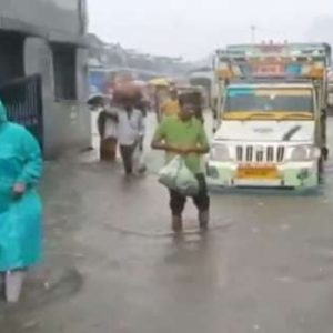 Mumbai Rains: IMD issues red alert for Thane, Palghar; Local train services affected, check full forecast here