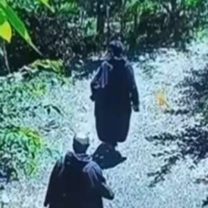Jammu and Kashmir: Massive anti-terror operation continues in Shopian orchard, 2 LeT terrorists trapped