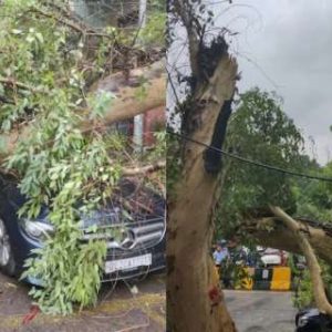 Monsoon Mayhem In Delhi: Mercedes gets smashed as tree collapses on it in East of Kailash