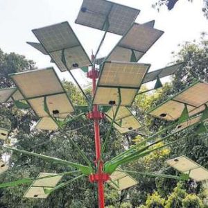 Delhi govt plans to install first solar tree at Secretariat; Here’s how it can reshape urban power supply in the capital