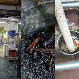 Cockroach infestation, poor sanitation, improper food storage: How 5 Mumbai clubs violated FDA Food Safety norms?