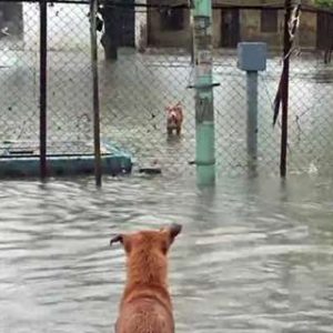 Gujarat, Kerala on red alert as IMD forecasts intense rainfall, thunderstorms