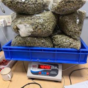 Over 2.7 kg suspected hydroponic weed seized at Delhi international airport
