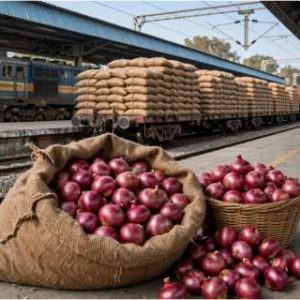 Onion prices shoot up 59%: What is ‘Kanda Express’ and how will it bring rates down?