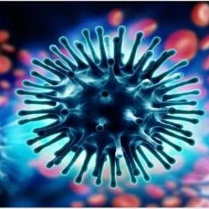Delhi H1N1 outbreak: CM calls emergency meet as cases cross 3,000; minister says ‘under control’