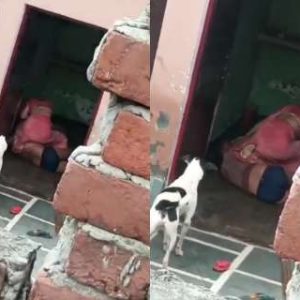 UP horror: Woman strangles husband to death after he opposed her ‘illicit relationship’; video surfaces