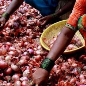 ‘No onion shortage in Delhi’: 1,000 MT from centre to be sold at Rs 35/kg across 13 districts, says CM Rekha Gupta