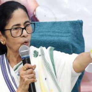 Arrest CEC Gyanesh Kumar, hold re-elections in SIR states: Mamata Banerjee’s strong demand