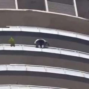 Noida: Man dies after fall from 43rd floor of Supernova Tower, probe on