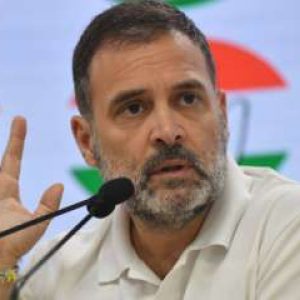 Was Rahul Gandhi ‘scared’ to contest from Amethi in 2024 elections? SP MP Shiv Patel makes shocking allegation