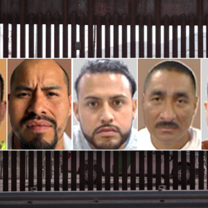 EXCLUSIVE: ICE nabs multiple convicted killers in single day amid nationwide immigration sweep