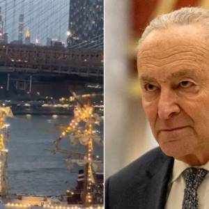 Schumer ripped for placing blame on Trump, DOGE for deadly Mexican Navy crash in NYC: ‘He is an idiot’