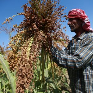Syria’s first wheat shipment since al-Assad ouster points to recovery