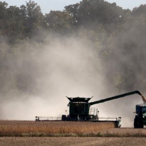 Trump-China tariff war: Who’s winning so far?