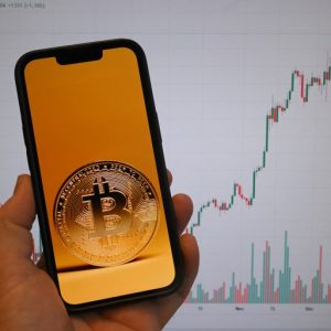 Governments and banks once mocked Bitcoin. Now they want in on it