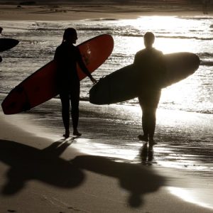 Police say surfer ‘taken by shark’ in Western Australia