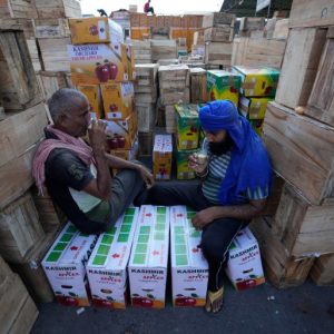 ‘Our lifeline’: Kashmiris fear losing orchards, land to mega Modi projects