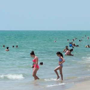 Ocean economy needs protection against wave of threats: OECD