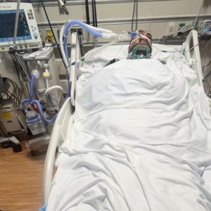 Worker dies following immigration raids on California cannabis farms