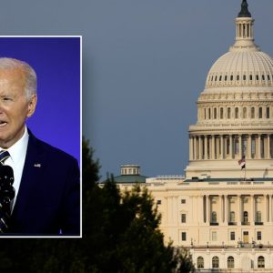 Congressional bypass: Many Democrats elusive on Biden issue