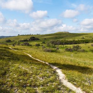 Balcones Canyonlands wildlife refuge, home to endangered songbird, adds more than 600 acres