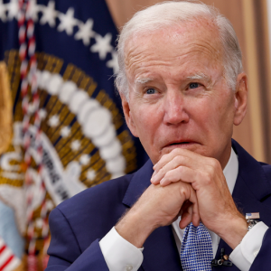 House Democrats circulate letter to delay Biden nomination until convention: report