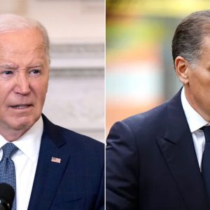 Key advisor called Hunter Biden’s role on strategy call ‘inappropriate’ after he overruled legal guidance