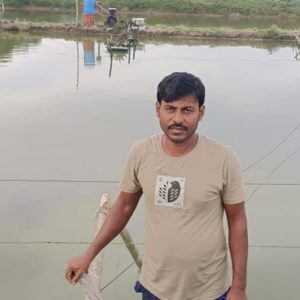 India is world’s second-largest shrimp producer. That is now under threat