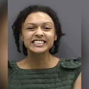 Florida woman charged after allegedly making online death threats toward DeSantis: ‘Will not be tolerated’