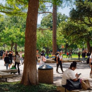 Undocumented students ask judge to let them challenge sudden loss of in-state tuition