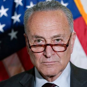Senate Democrats to hold leadership elections after losing chamber majority