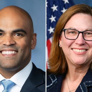Texas’ 33rd Congressional District Democratic runoff: Who is running and what to know