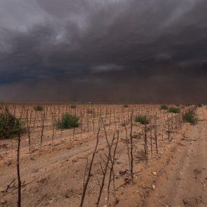 How bad will drought be in Texas? Rio Grande Valley farmers are bracing for the worst.