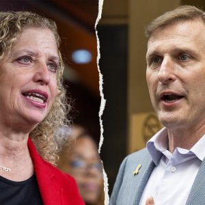 From Wasserman Schultz to Goldman, Democratic incumbents are fighting for survival