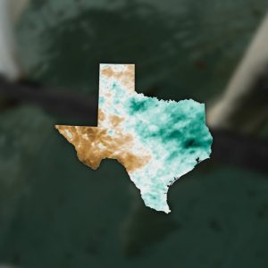 Texas weather extremes likely to become normal, scientists say