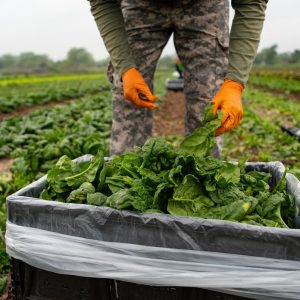 Texas farmers could have greater access to low-interest loans under a bill the Senate is considering